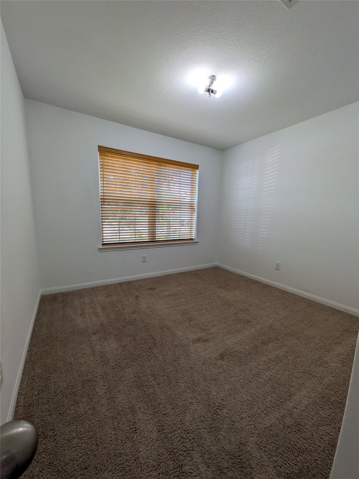 7115 Montclair Peak Lane, Richmond Tx 77469 Property Photo 6