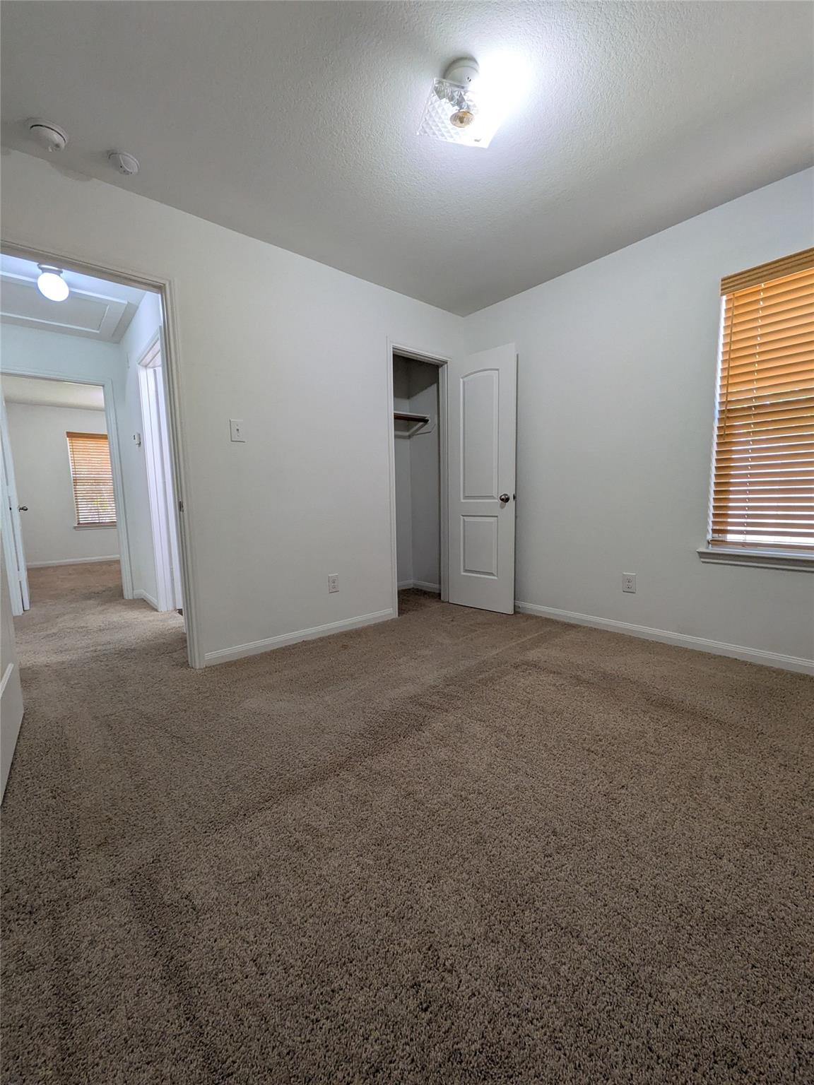 7115 Montclair Peak Lane, Richmond Tx 77469 Property Photo 9
