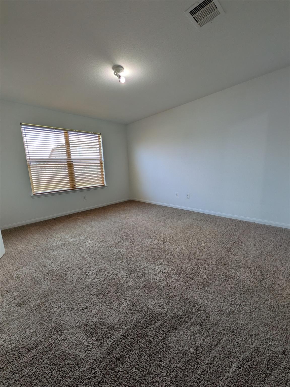 7115 Montclair Peak Lane, Richmond Tx 77469 Property Photo 18