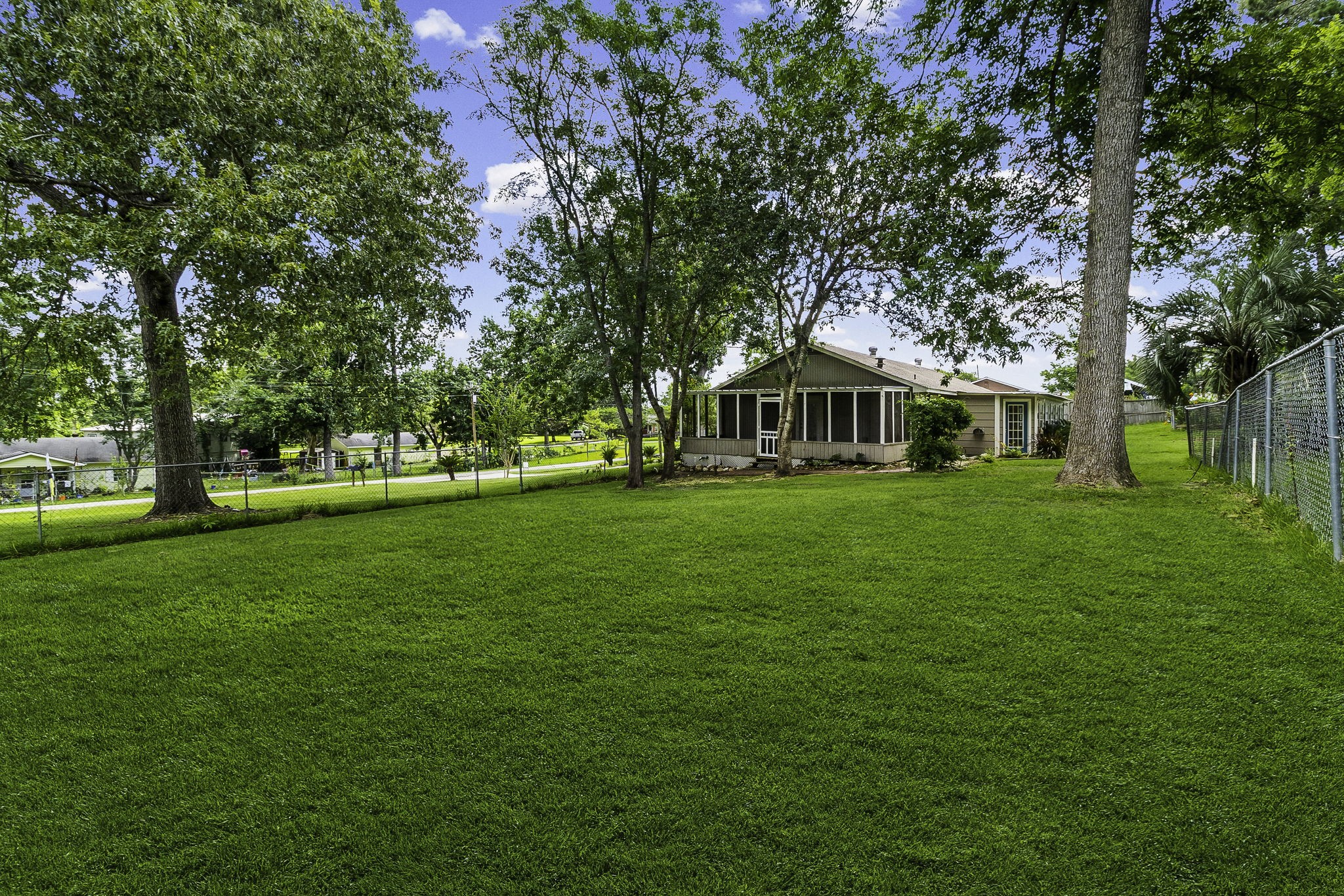 51 Rustling Oaks Street Property Photo 33