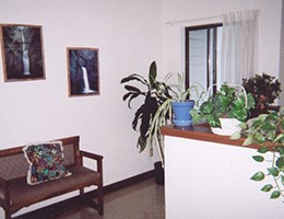 1204 Andrew Ave Property Photo 8