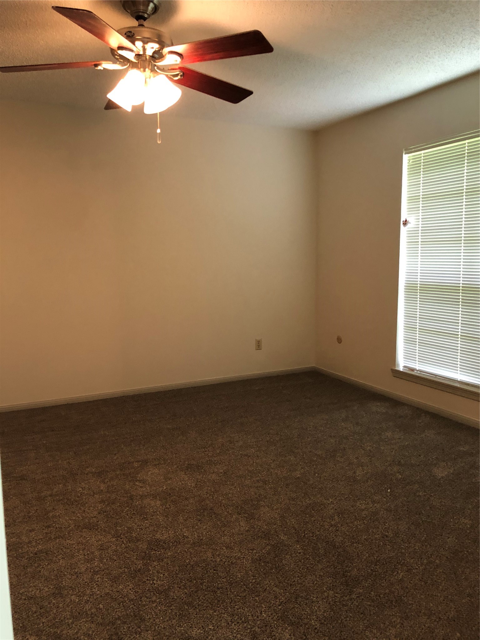 303 Dogwood Street Property Photo 15
