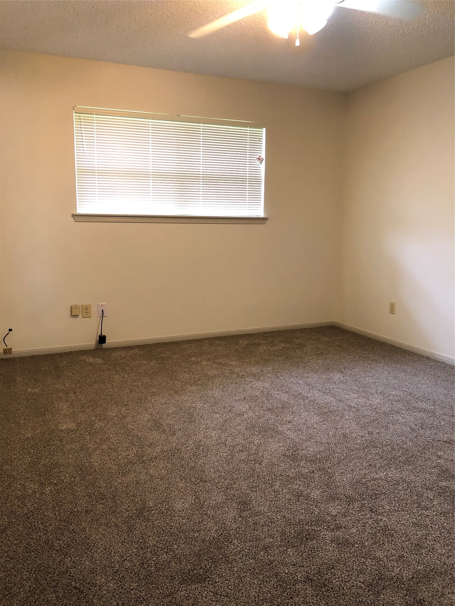 303 Dogwood Street Property Photo 19