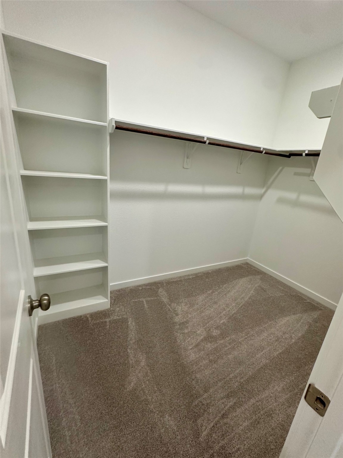 10141 Pelican Hill Lane Property Photo 17