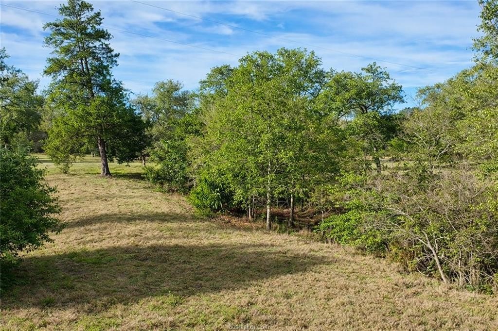 Tbd S Fm 46 - 10 Acres Property Photo 2