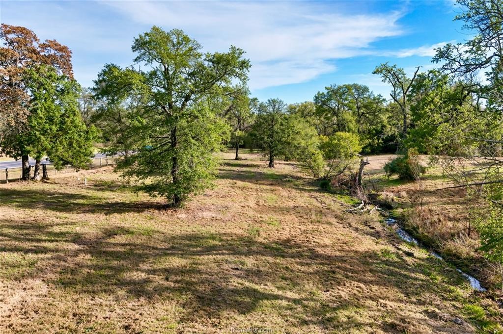 Tbd S Fm 46 - 10 Acres Property Photo 3