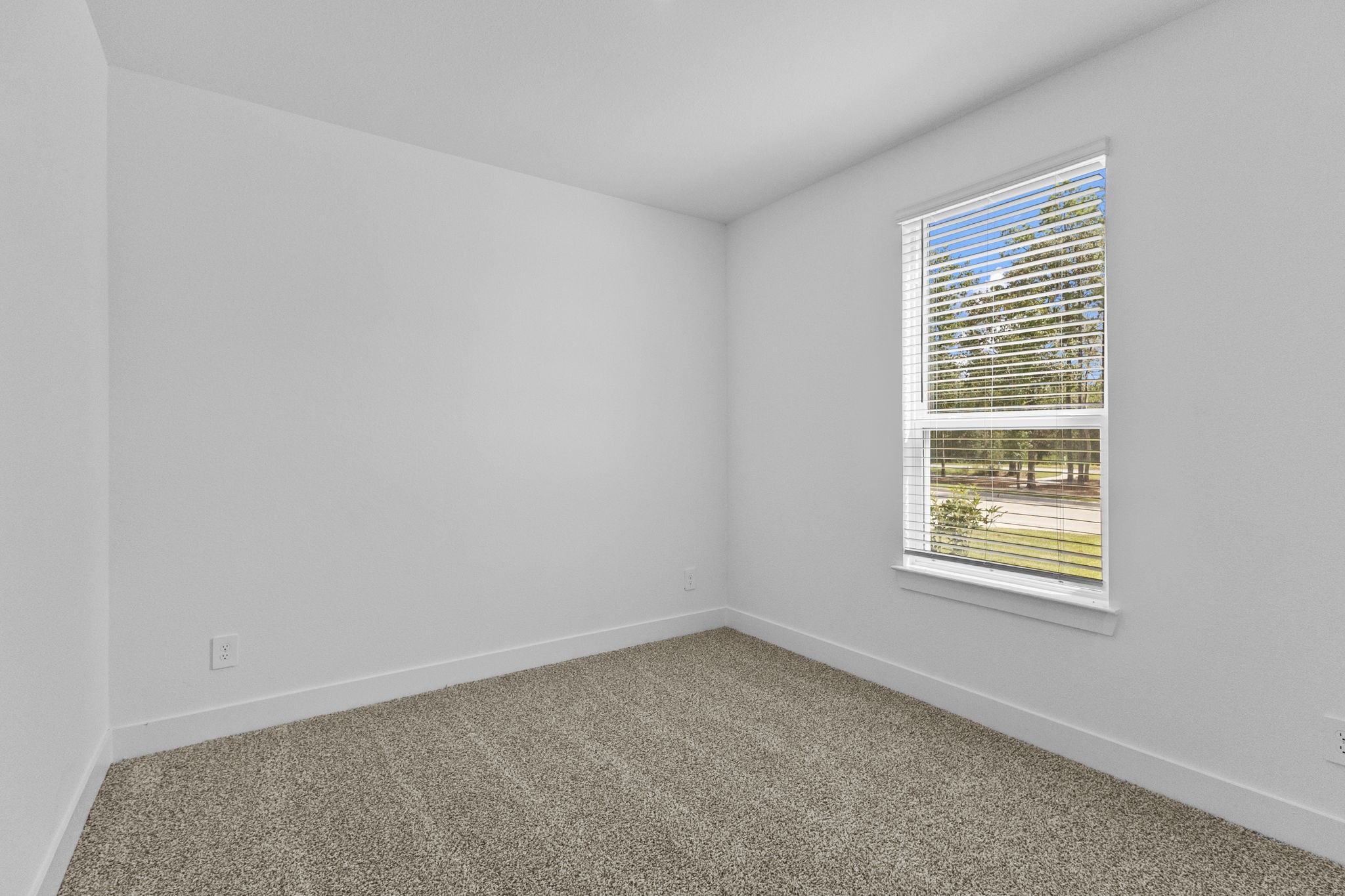 4617 Vernal Loop Property Photo 5