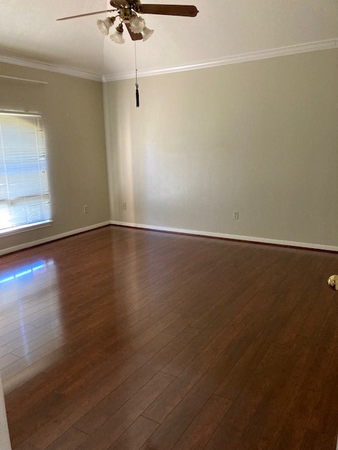 9911 Sagegreen Drive Property Photo 14