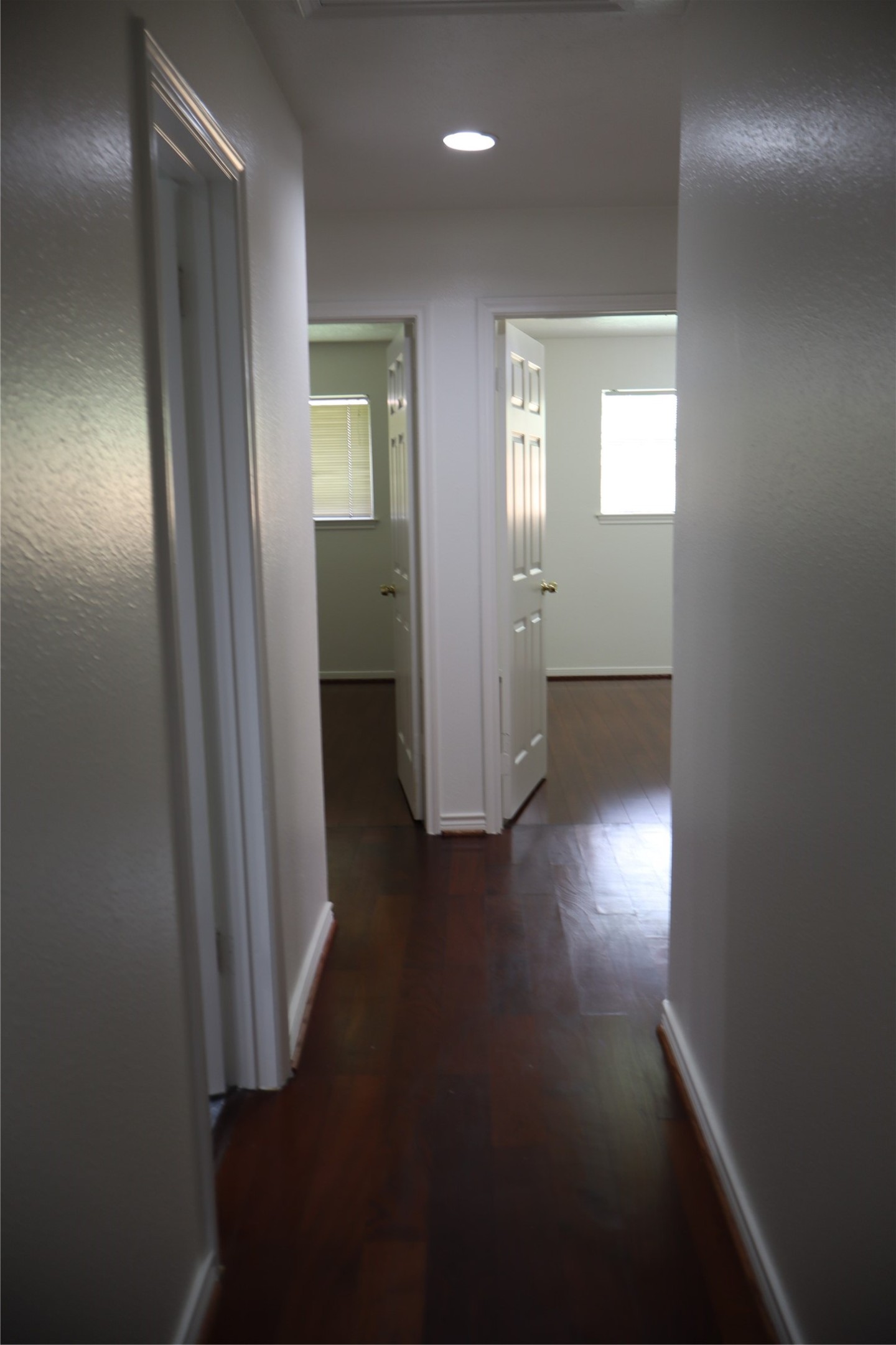 9911 Sagegreen Drive Property Photo 14