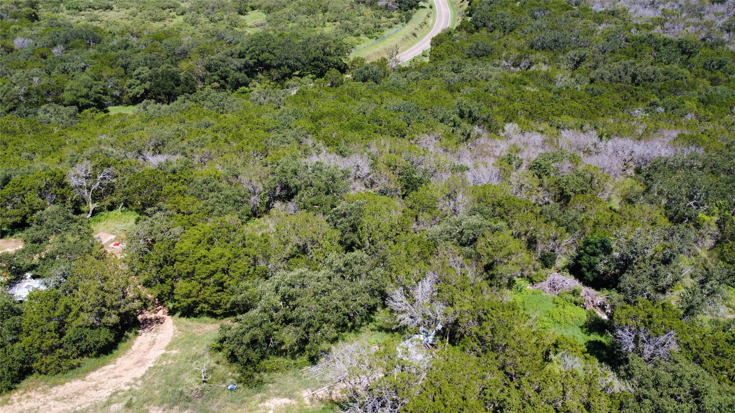 Tbd Forest Drive Property Photo 3