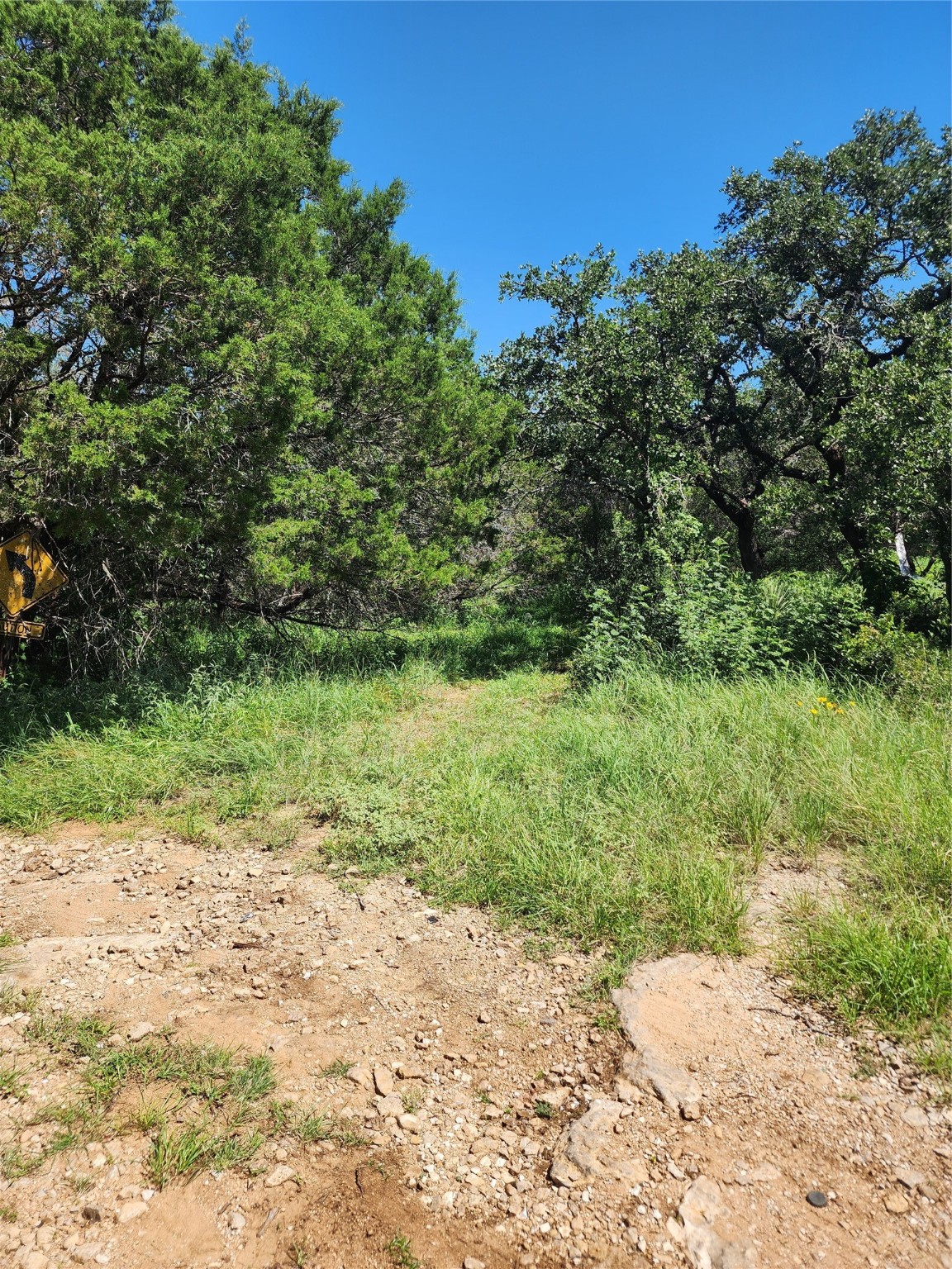 Tbd Forest Drive Property Photo 6