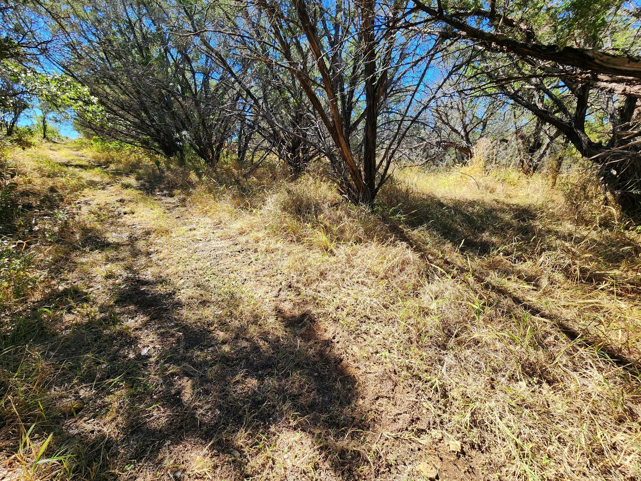 Tbd Forest Drive Property Photo 8