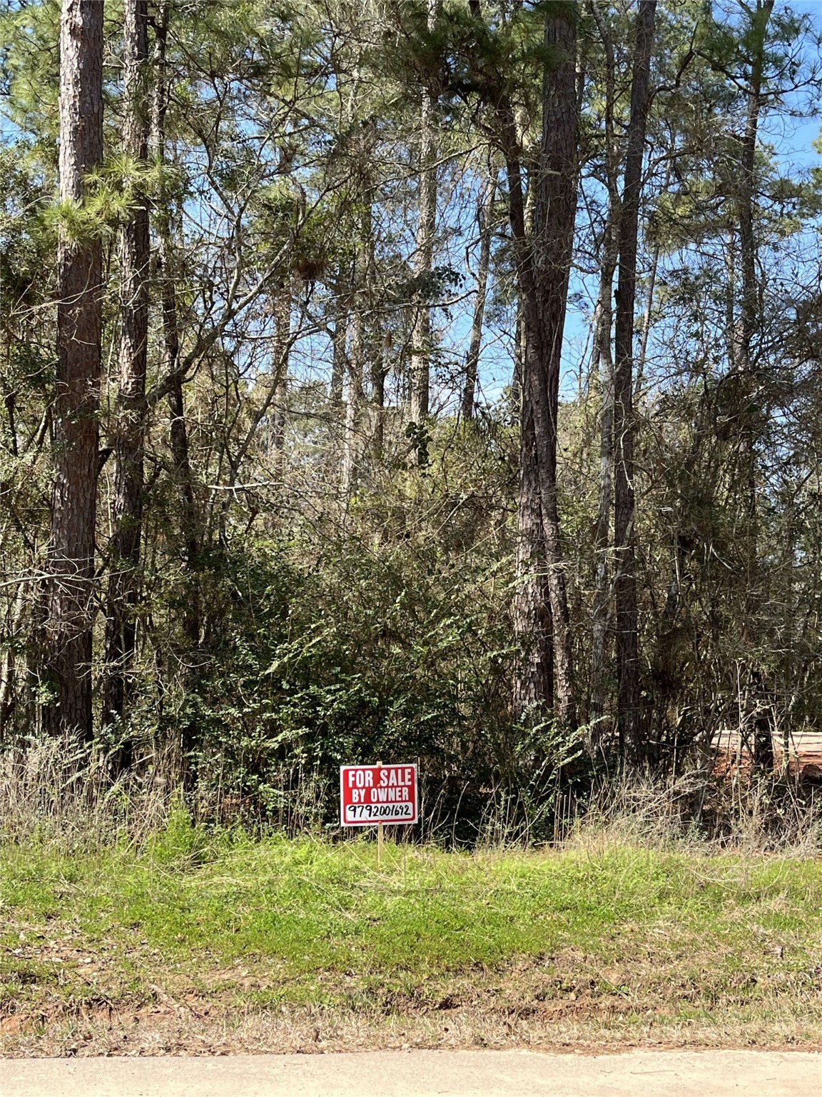 Lot 69 Sycamore Property Photo 4