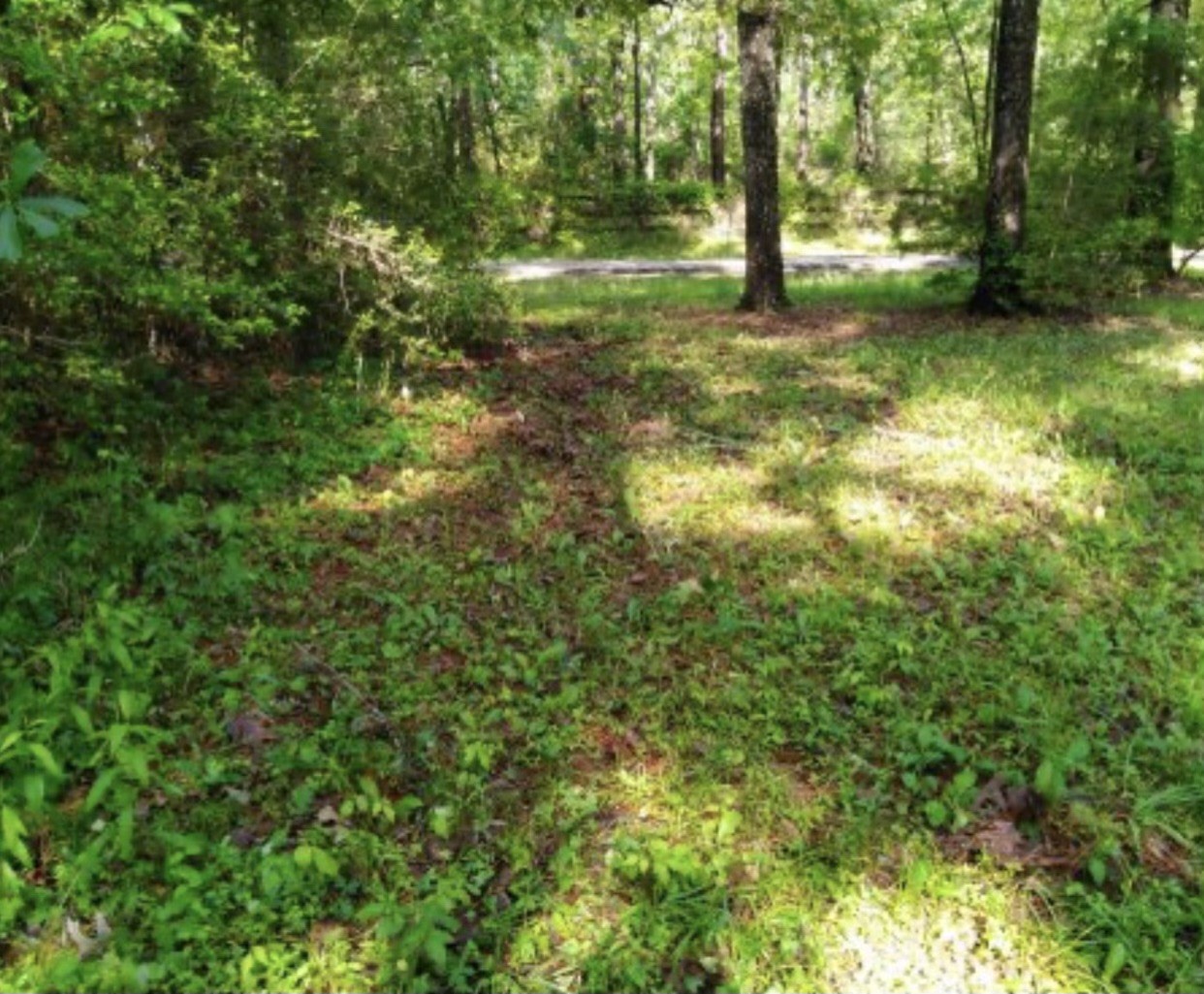 Lot 69 Sycamore Property Photo 5