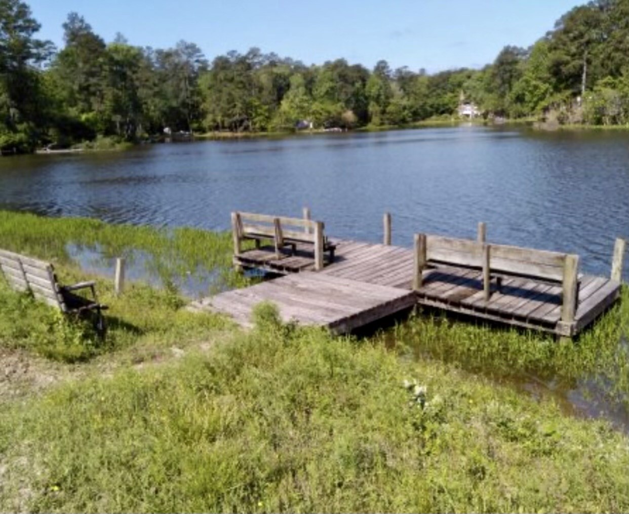 Lot 69 Sycamore Property Photo 6