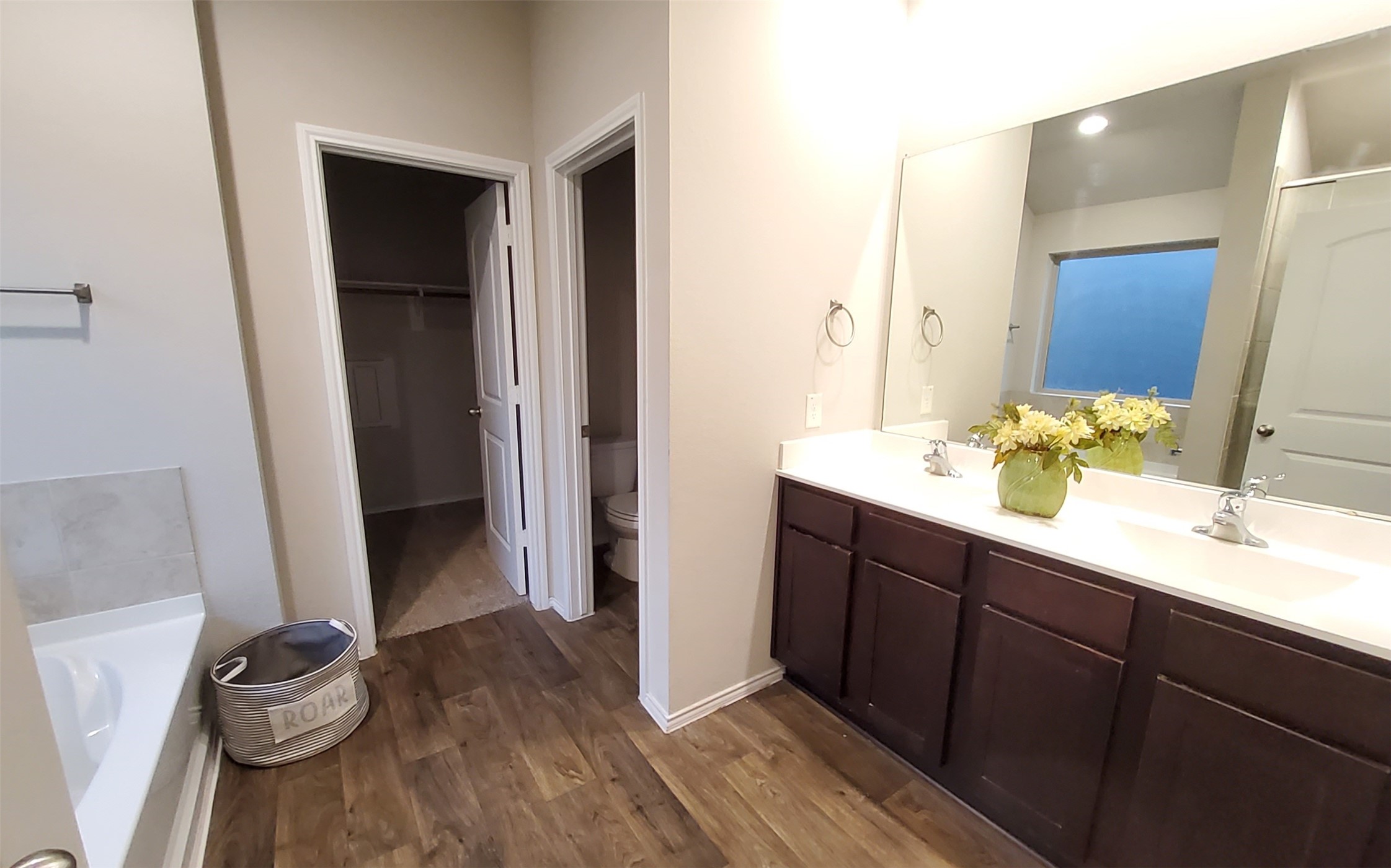 22619 Castello Lakes Drive Property Photo 26