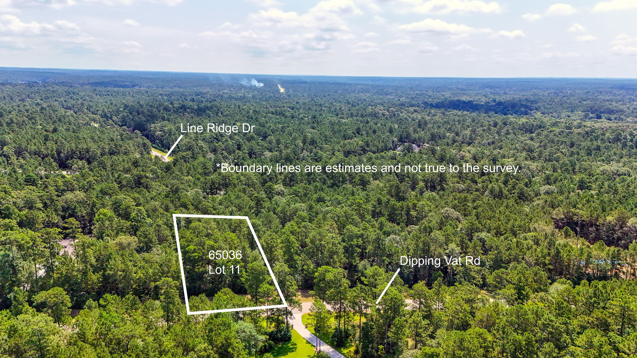 1.52 Acres Dipping Vat Road Property Photo 3