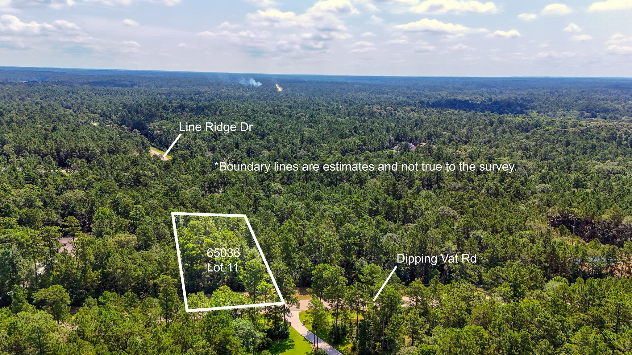 1.52 Acres Dipping Vat Road Property Photo 5