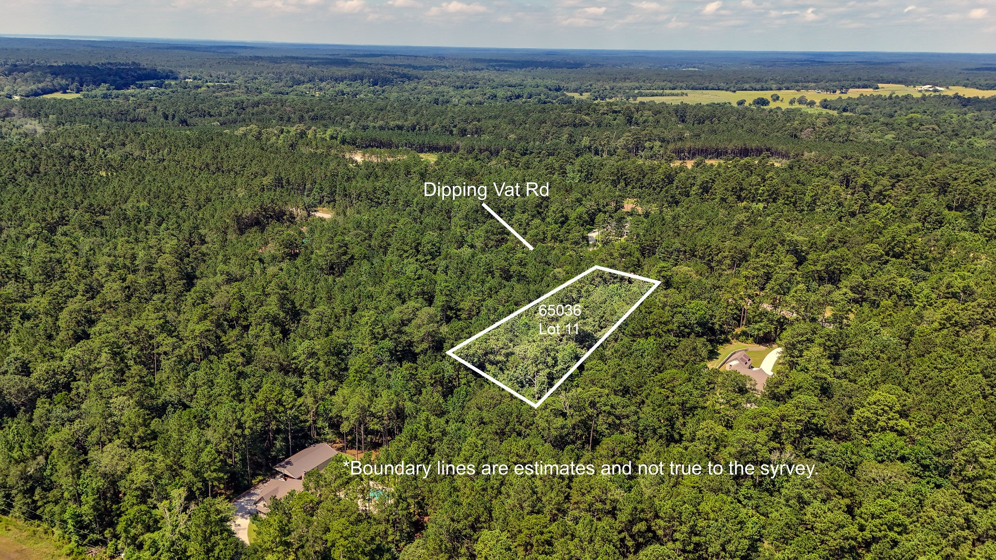 1.52 Acres Dipping Vat Road Property Photo 8