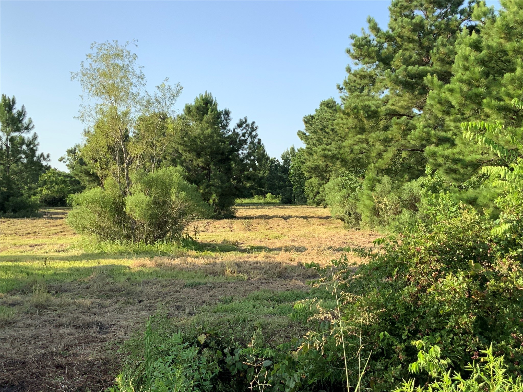 0 Fm 686 Lot 1 Property Photo 6