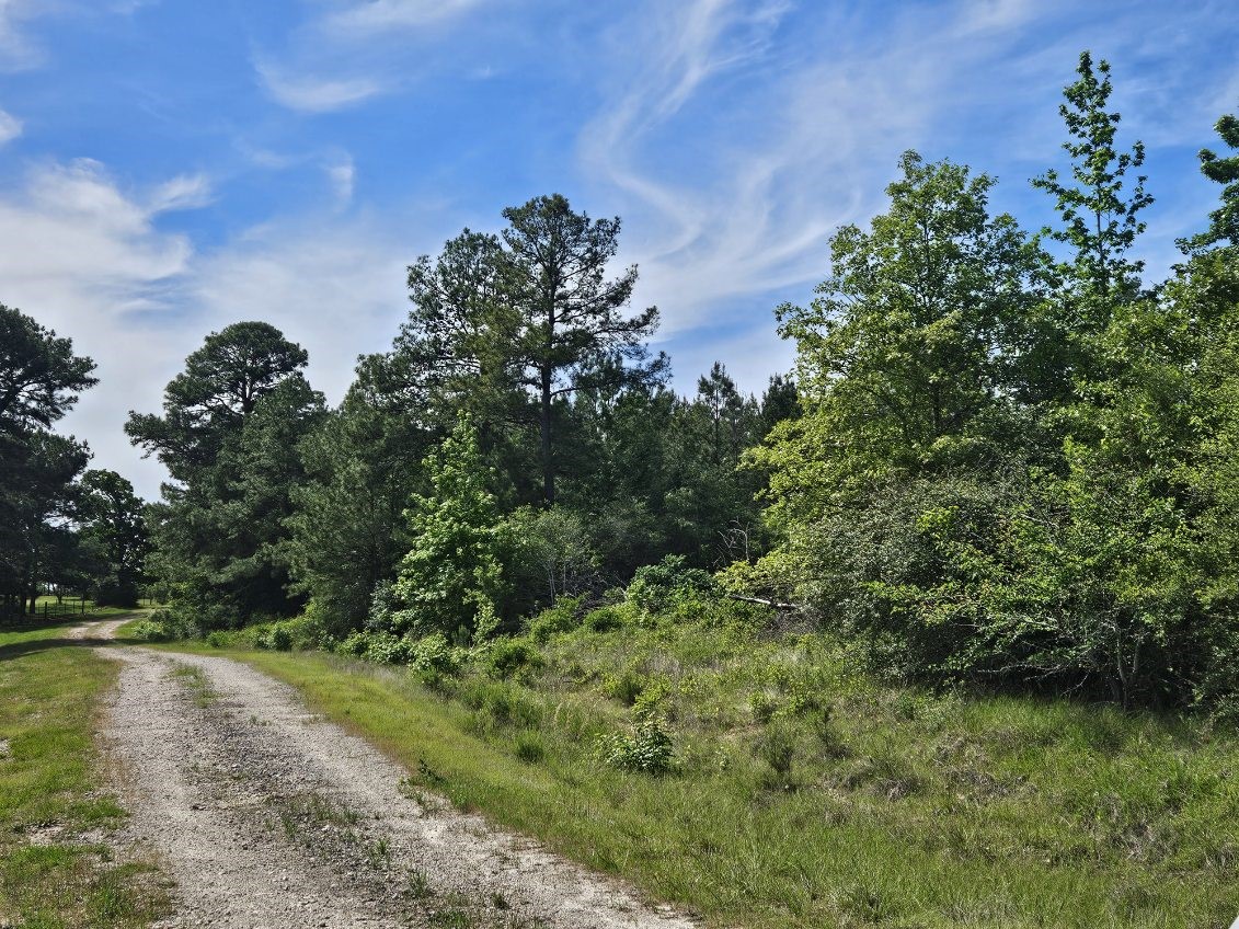 Tbd Hollybrook Drive Property Photo 2