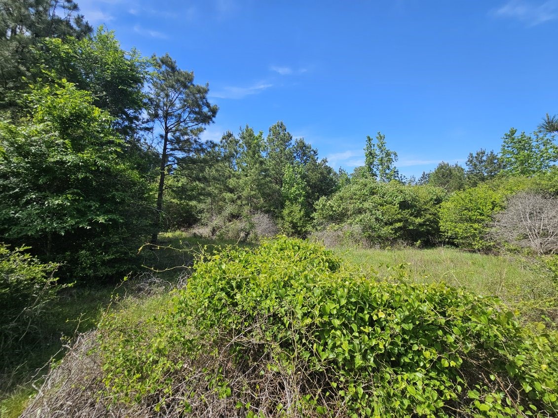 Tbd Hollybrook Drive Property Photo 3
