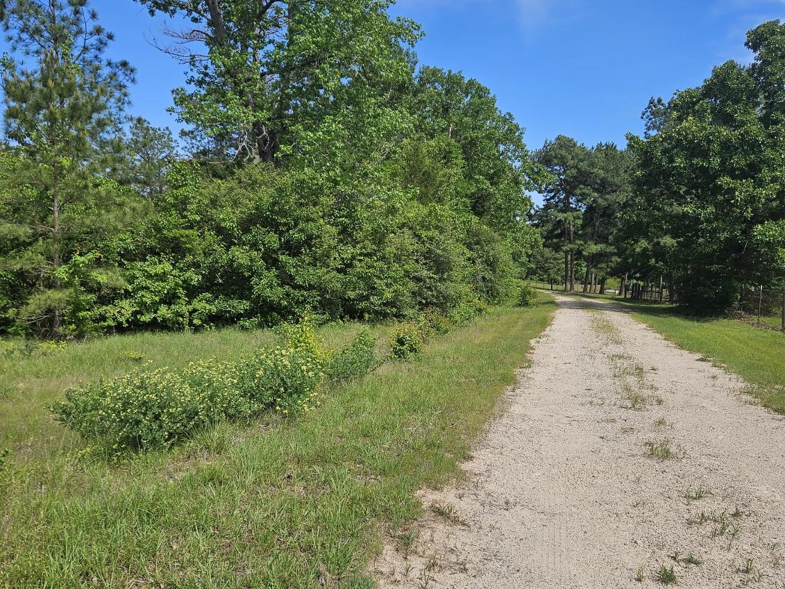 Tbd Hollybrook Drive Property Photo 4