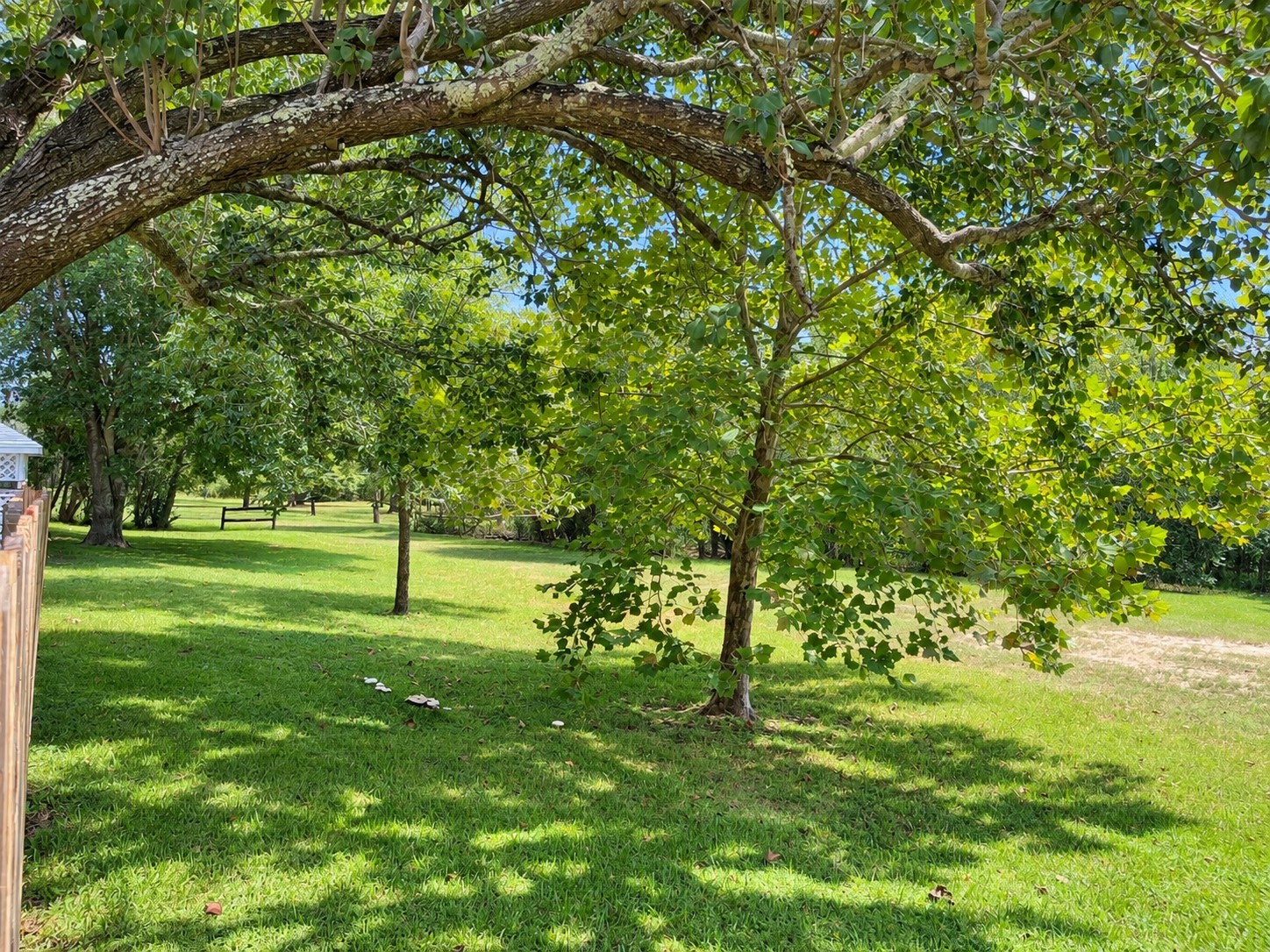 13411 W Carousel Court Property Photo 43