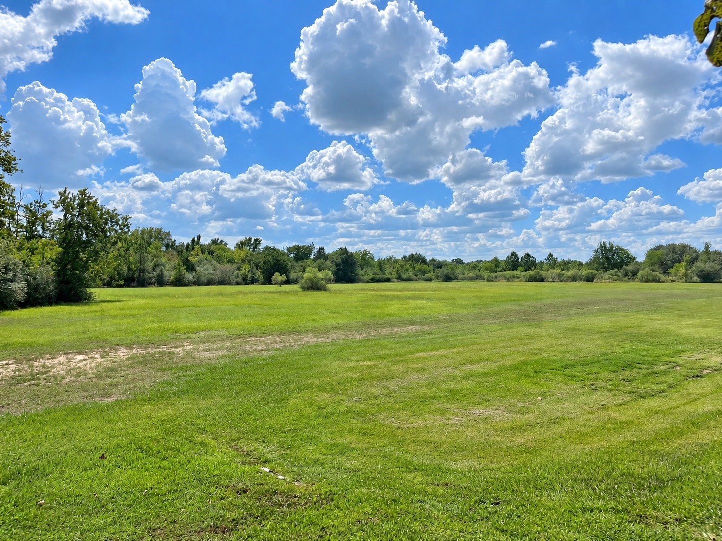 13411 W Carousel Court Property Photo 44