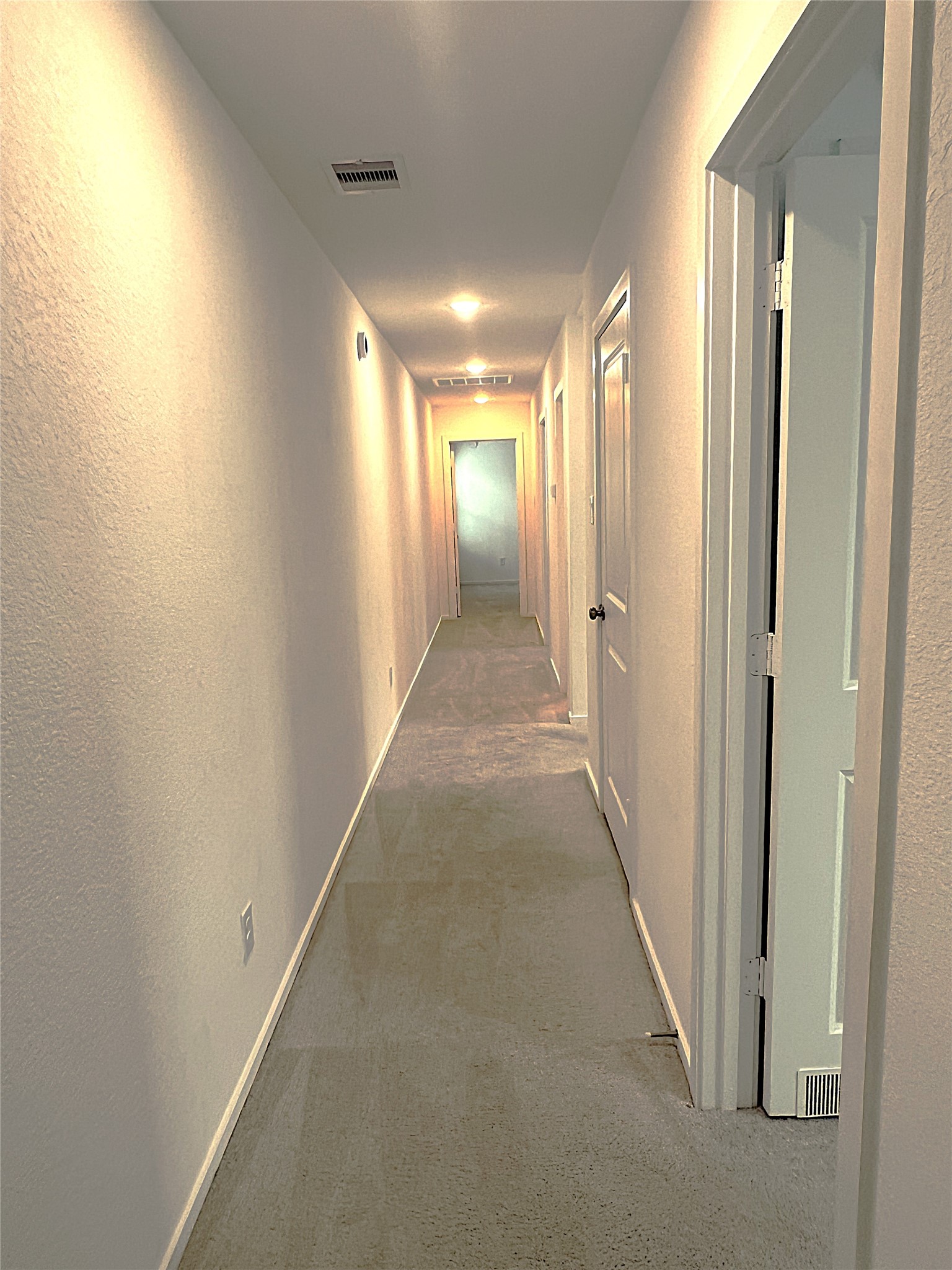 18210 Via Aurelia Drive Property Photo 14