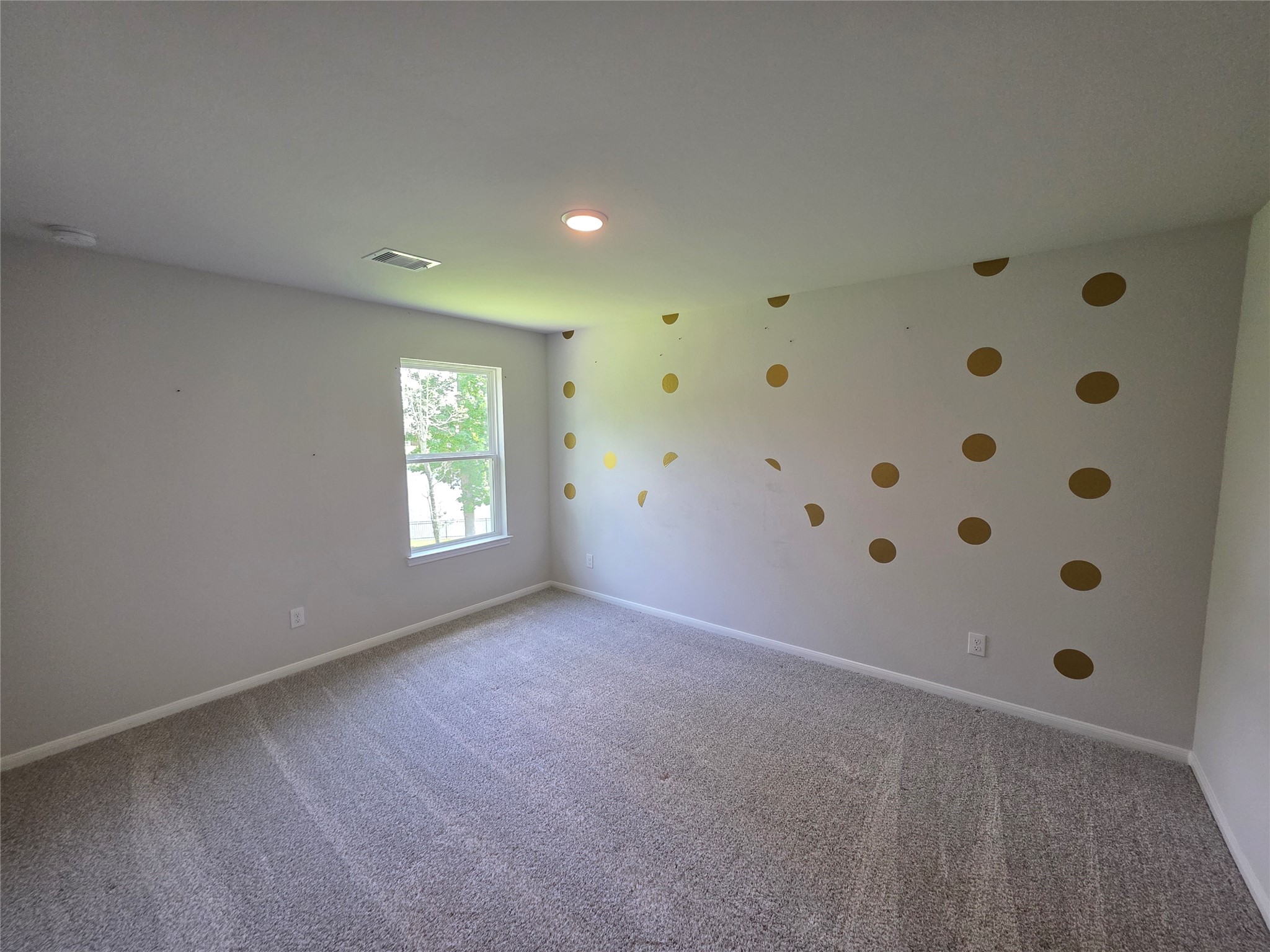 110 Elm Tree Circle Property Photo 19