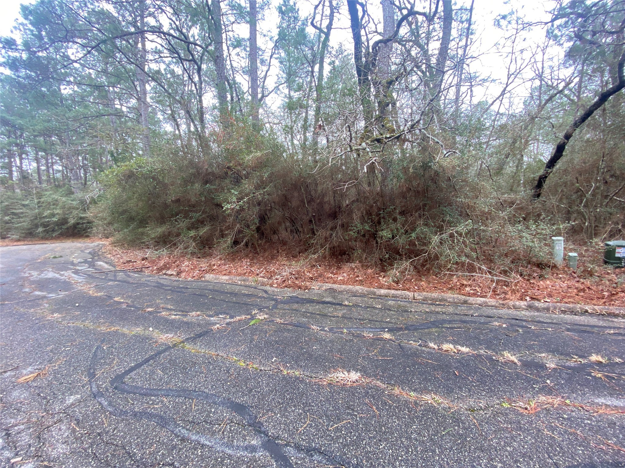 28605 Beechnut Court Property Photo
