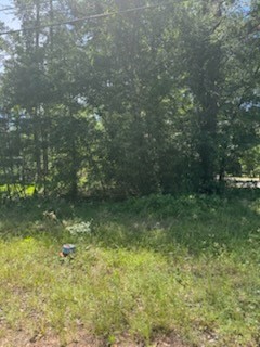 15871 Sycamore Drive Property Photo 1