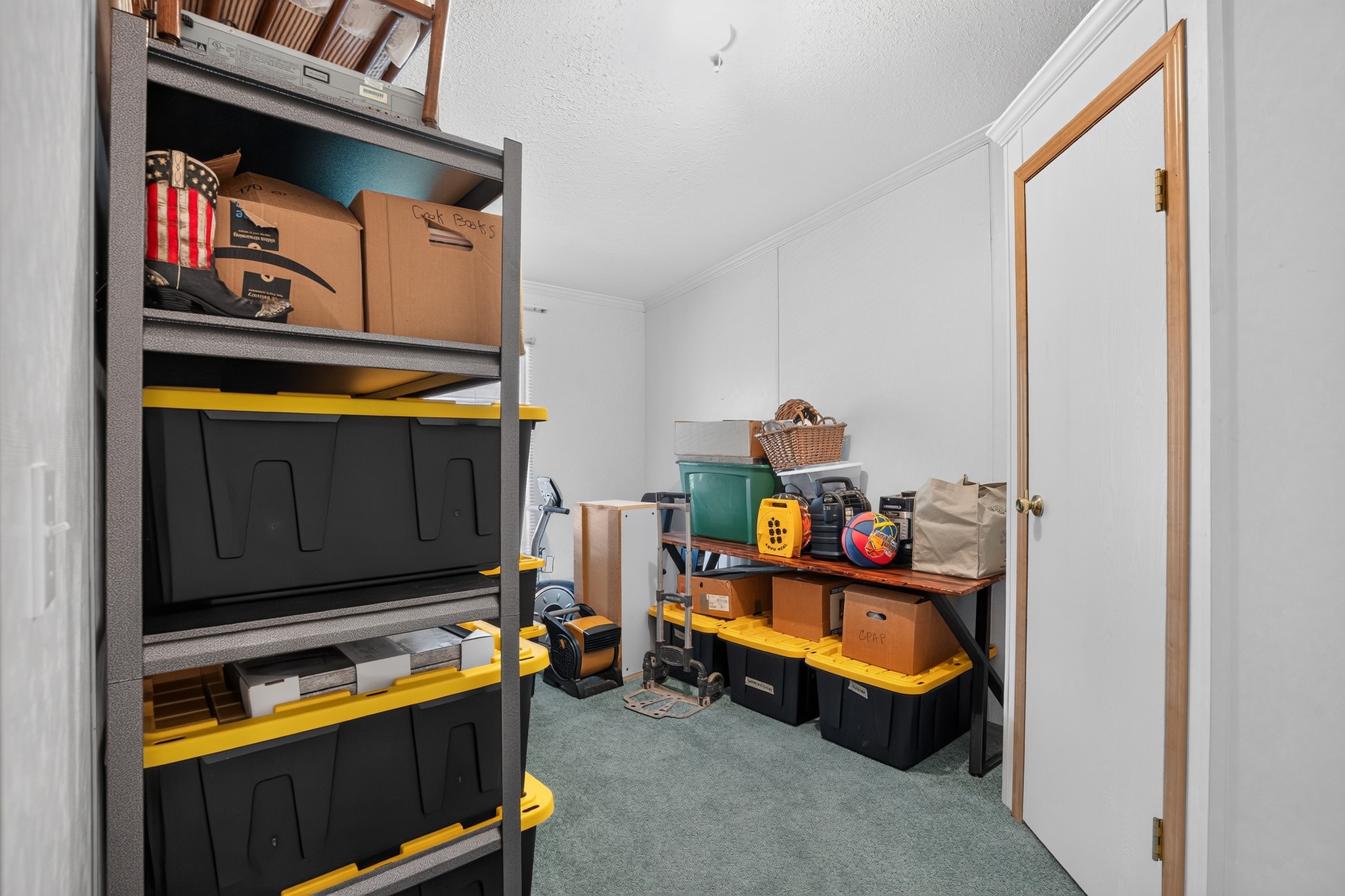 113 Butternut Property Photo 16