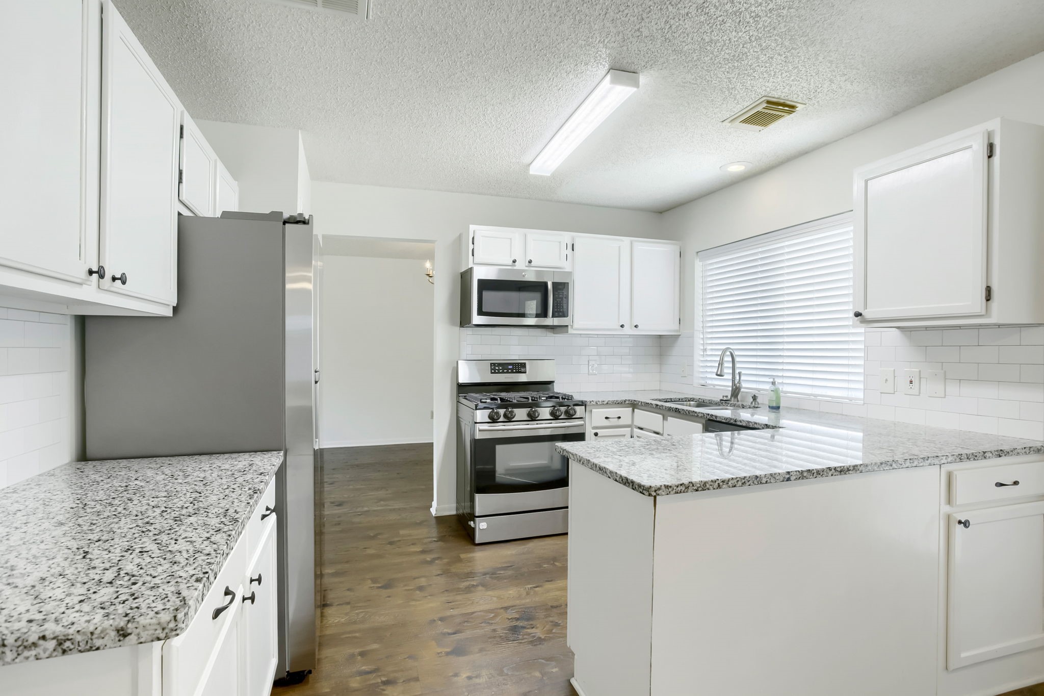 10115 Wayward Wind Lane Property Photo 5