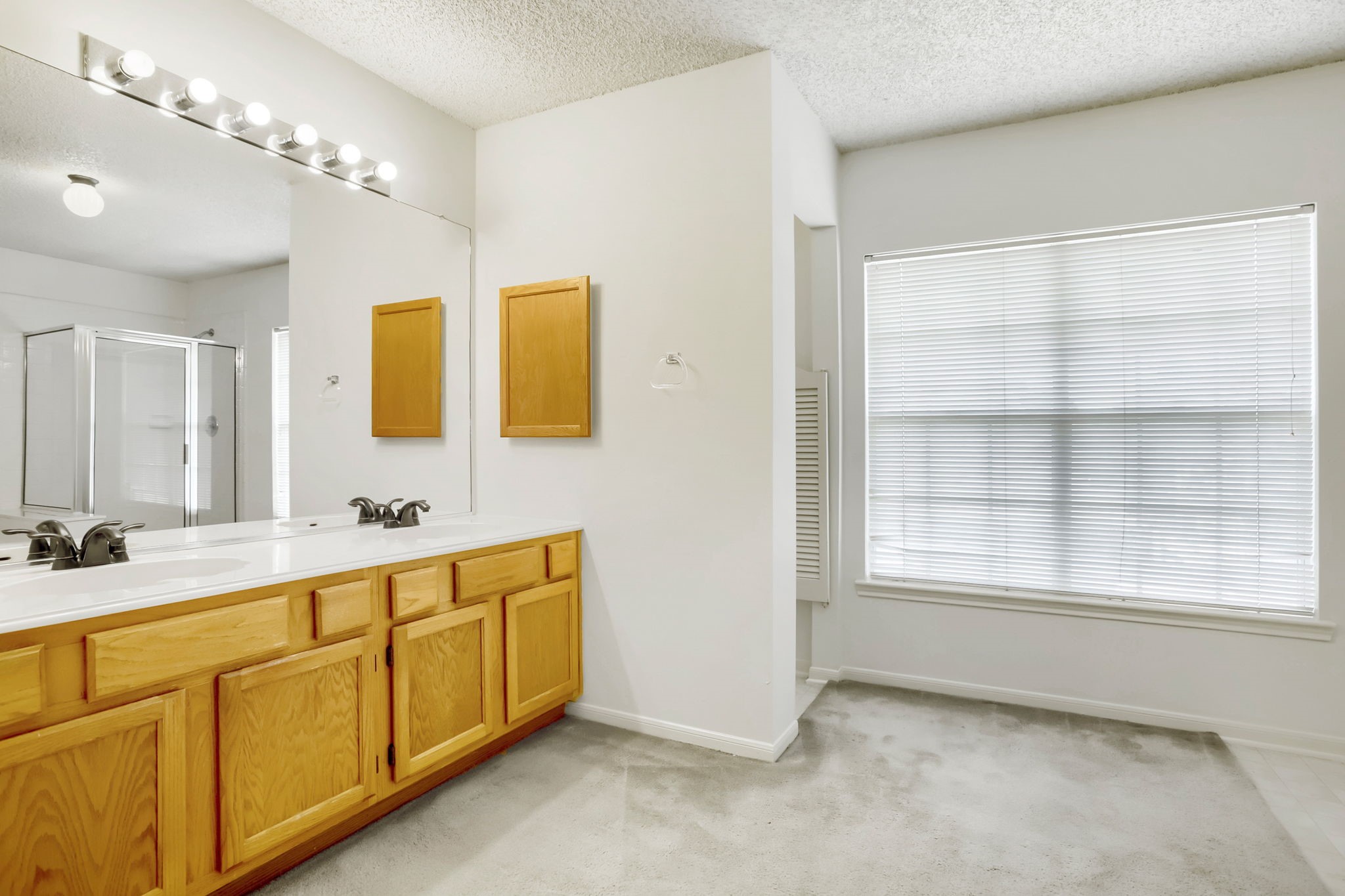 10115 Wayward Wind Lane Property Photo 16