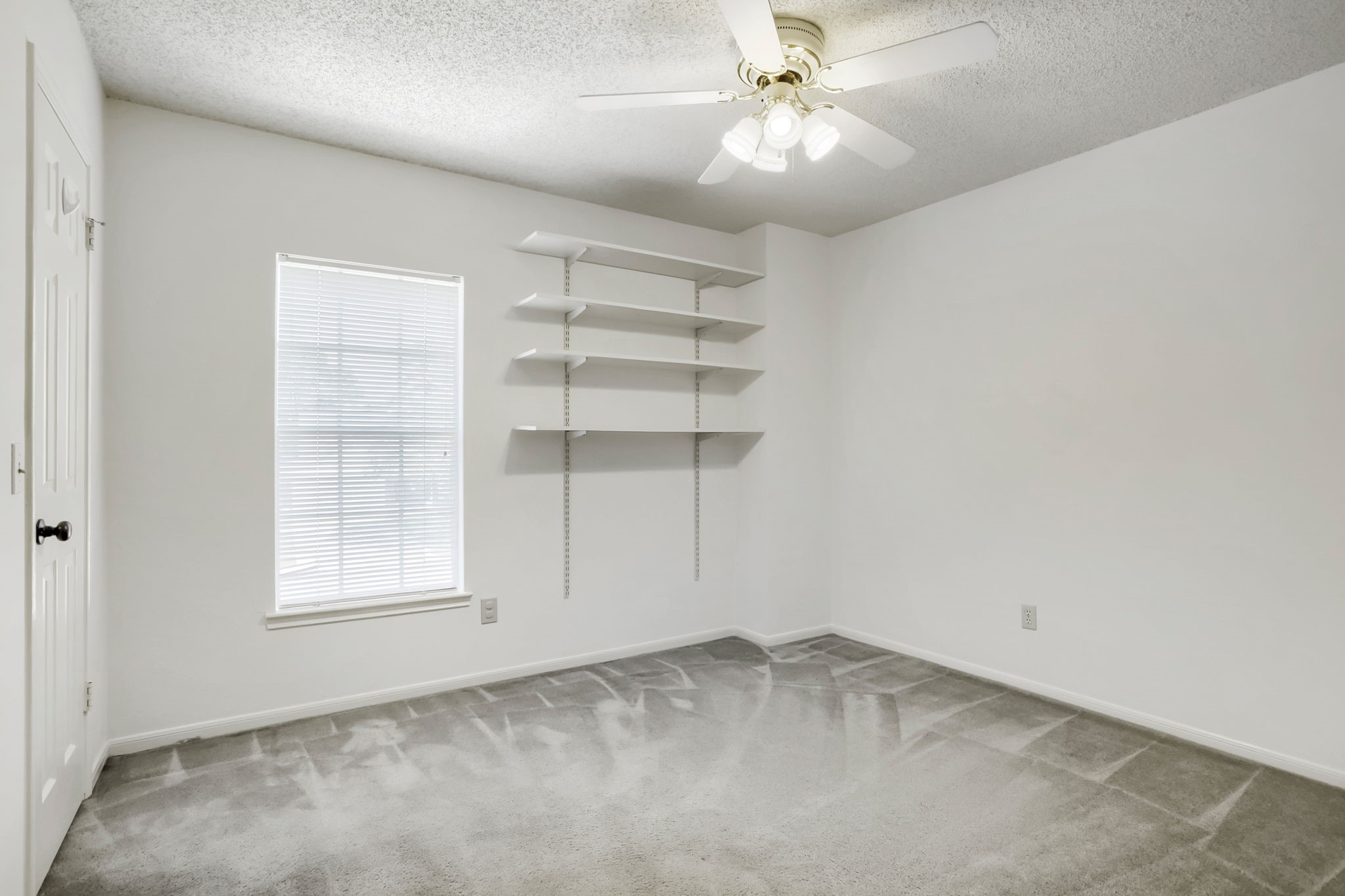 10115 Wayward Wind Lane Property Photo 19