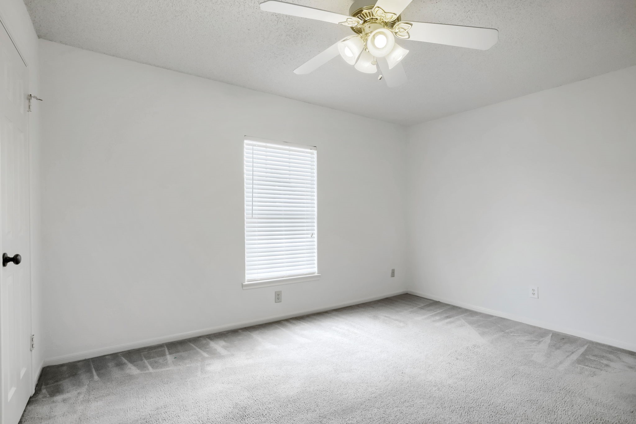 10115 Wayward Wind Lane Property Photo 21