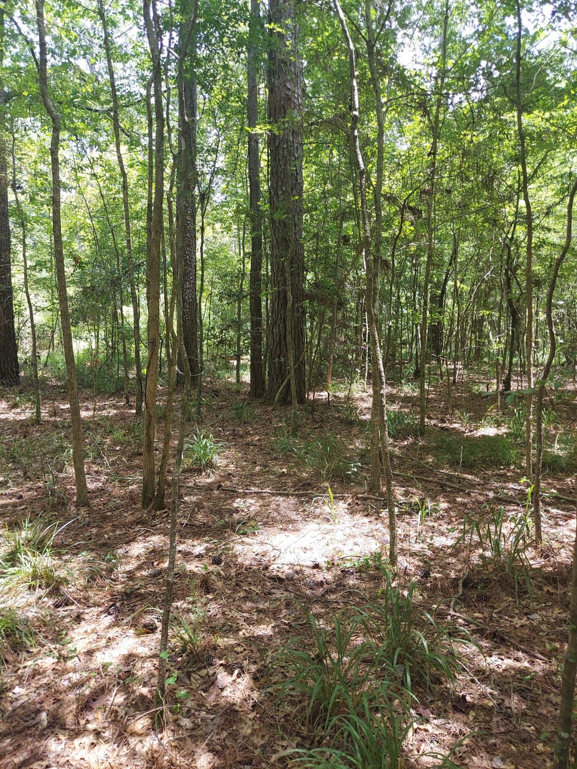 306 Deason Circle Property Photo 1