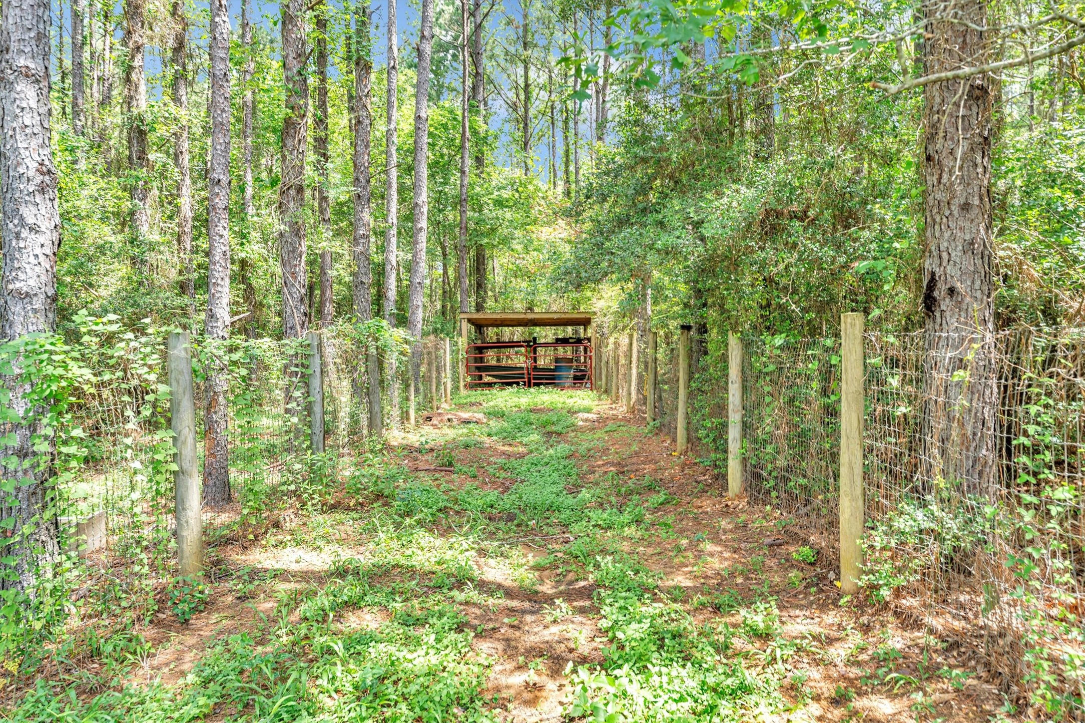 631 Ellisor Road Property Photo 45