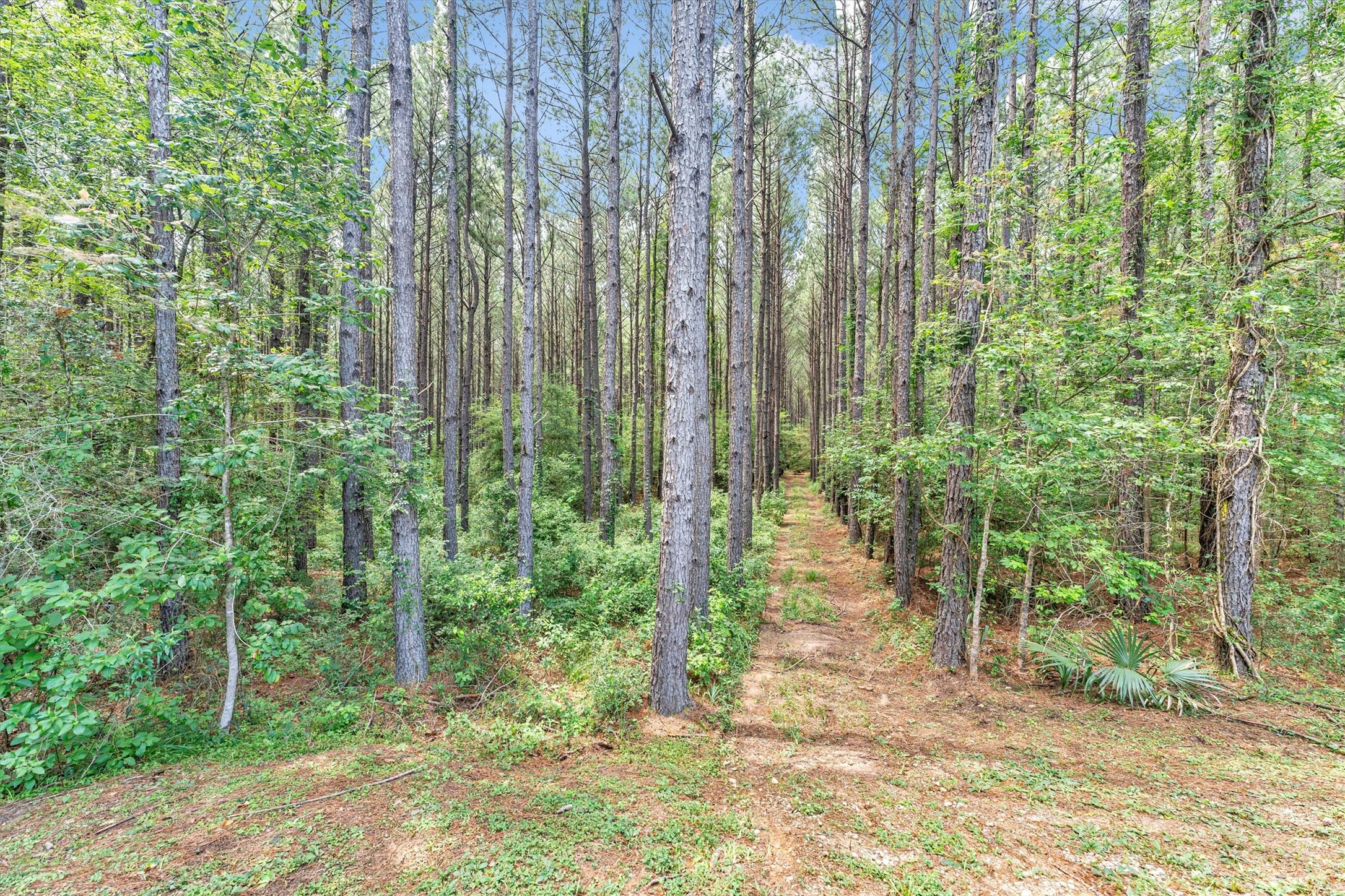 631 Ellisor Road Property Photo 46