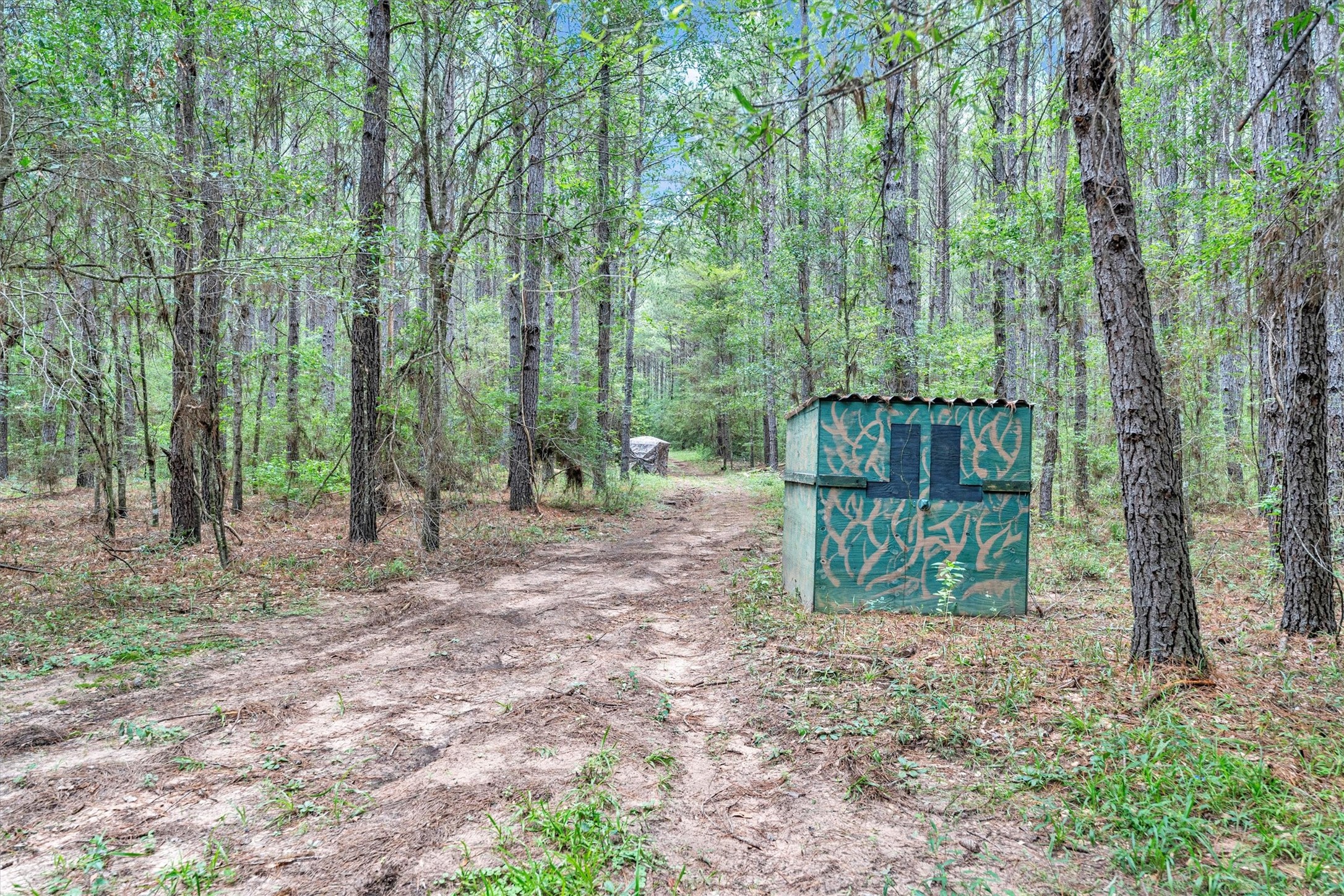 631 Ellisor Road Property Photo 47