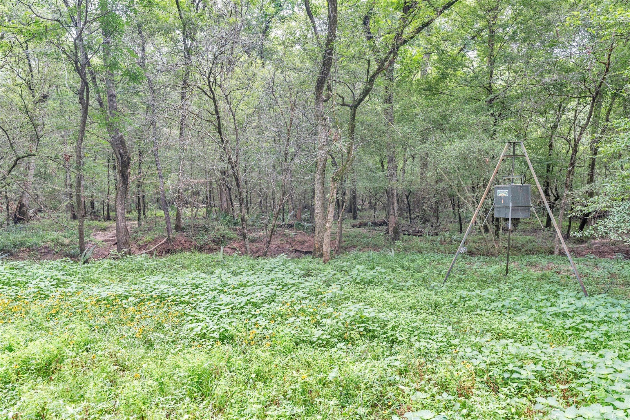 631 Ellisor Road Property Photo 48