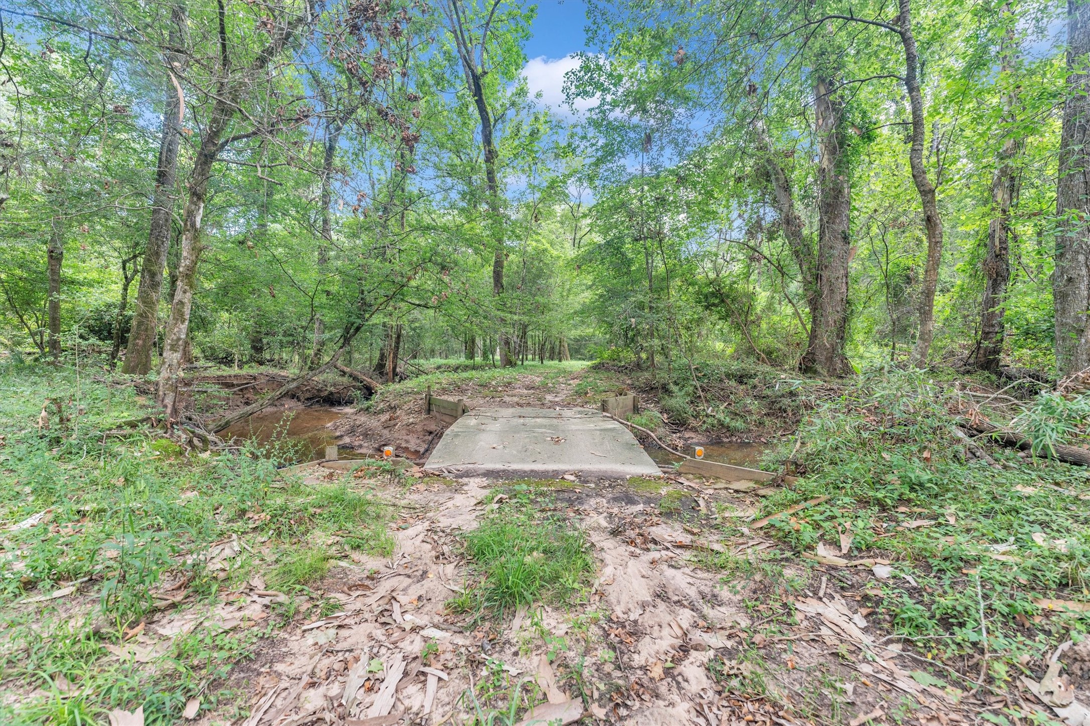631 Ellisor Road Property Photo 49