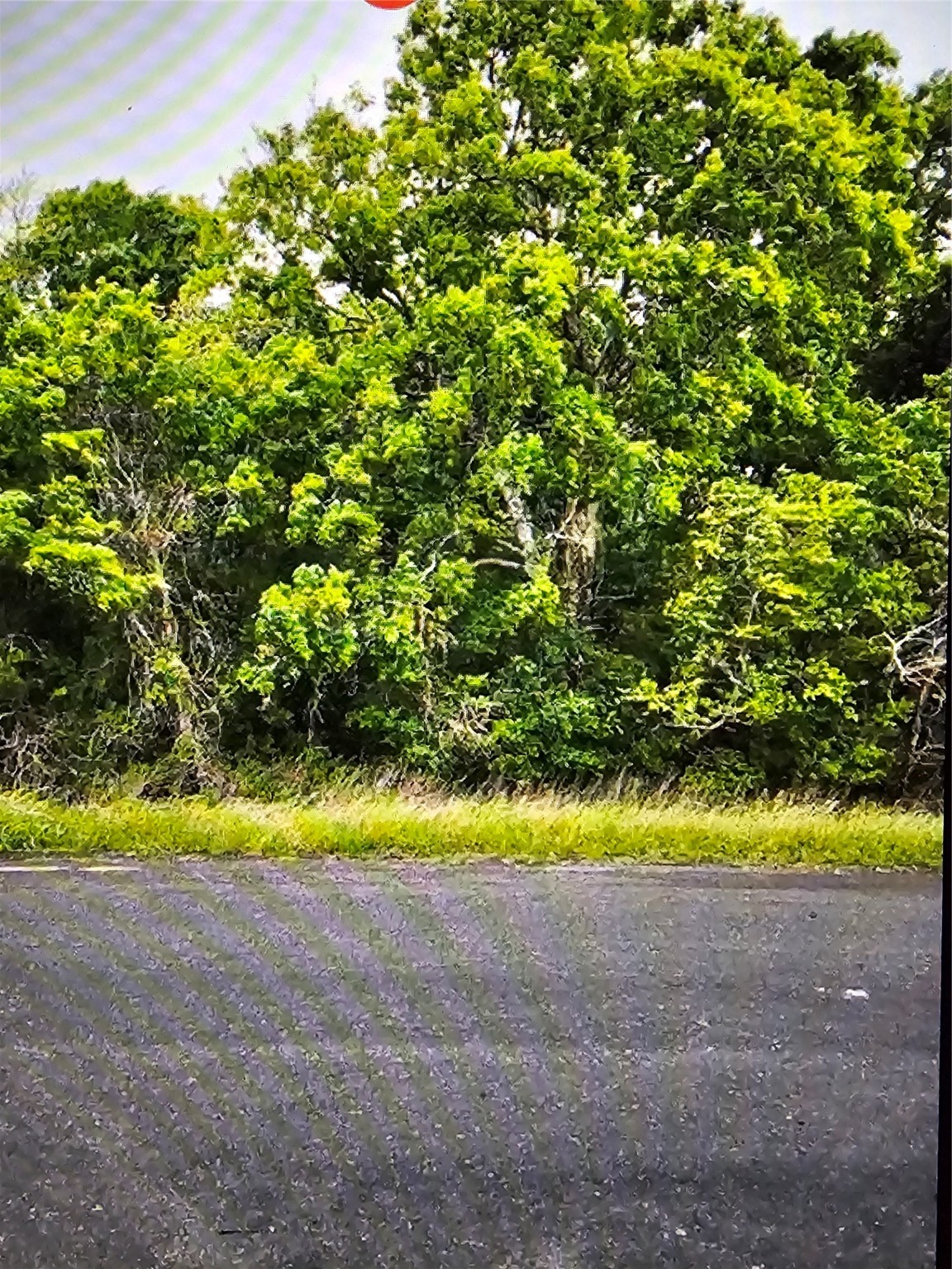 0 County Rd 125 Property Photo 1