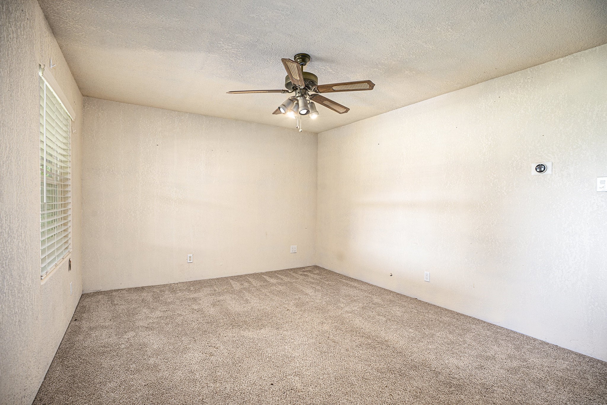 4028 Avenue N 1/2 Property Photo 4
