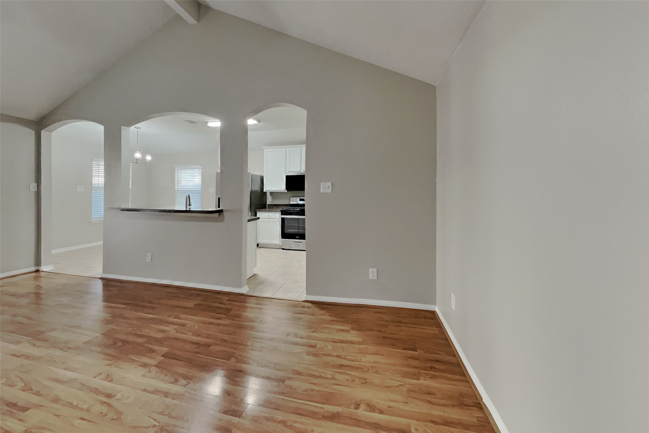 20607 Spring Aspen Lane Property Photo 3
