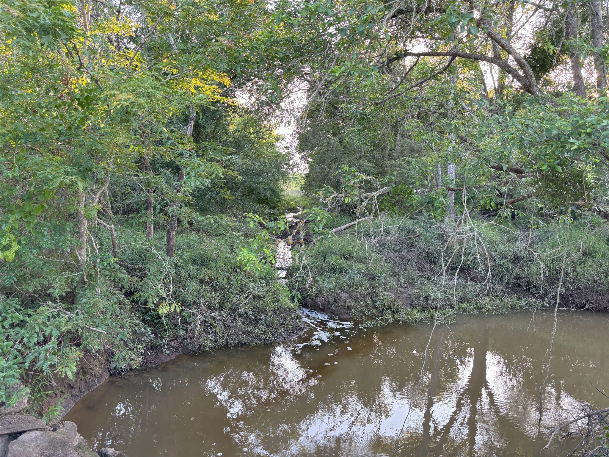 Tbd Cr 413 Property Photo 3