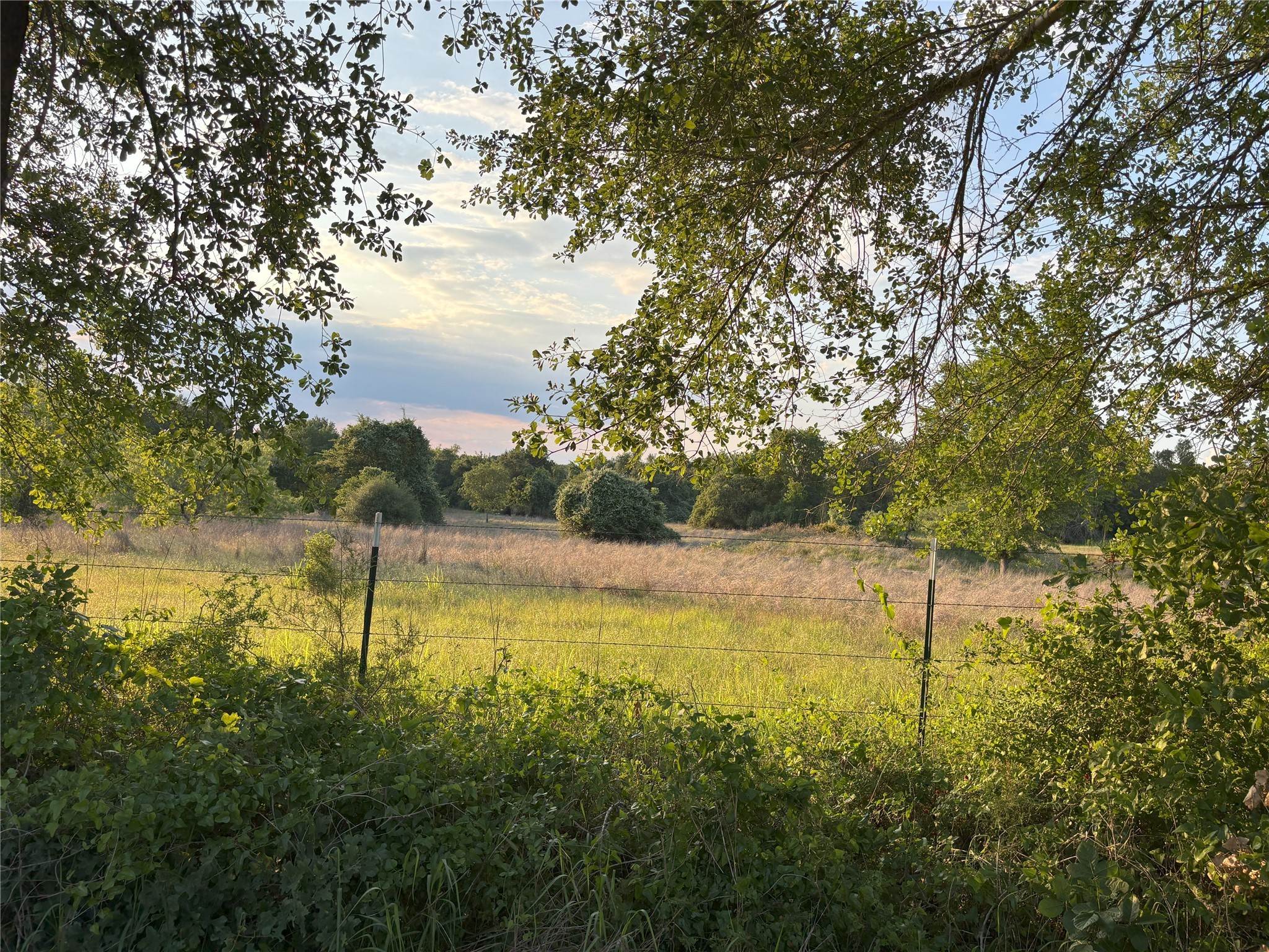 Tbd Cr 413 Property Photo 9