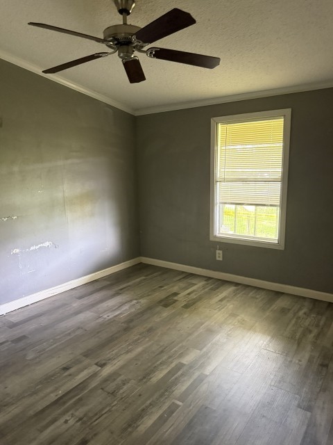 1001 Cervantes Street Property Photo 19